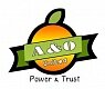 A&O United